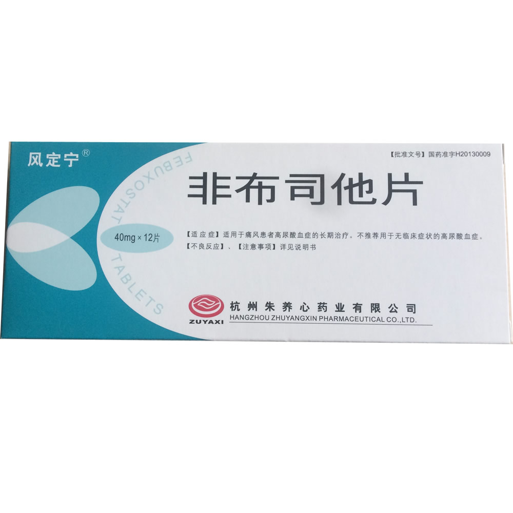 [风定宁]非布司他片40mg*12片